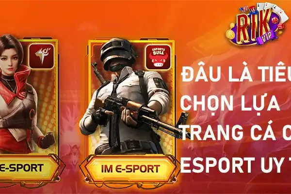 Những tiêu chí lựa chọn hàng đầu các trang các cược Esport uy tín