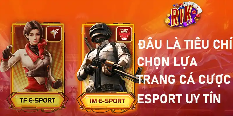 Những tiêu chí lựa chọn hàng đầu các trang các cược Esport uy tín